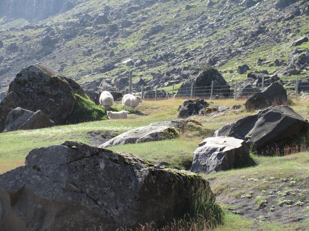 Villa Lindarbrekka Djúpivogur Esterno foto