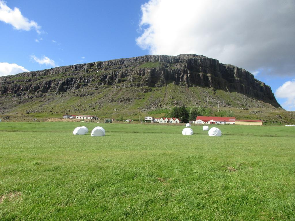 Villa Lindarbrekka Djúpivogur Esterno foto